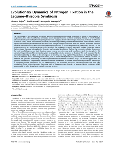 Evolutionary Dynamics of Nitrogen Fixation in the Legume–Rhizobia