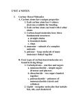 UNIT 4 NOTES