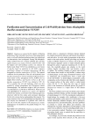 Purification and Characterization of Cell Wall Hydrolase from