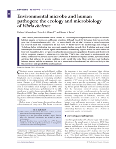 the ecology and microbiology of Vibrio cholerae