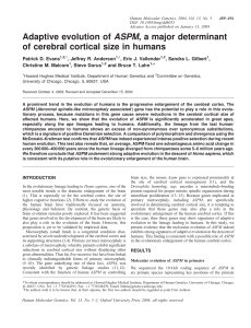 Evans et al., 2004 - The University of Texas at Austin