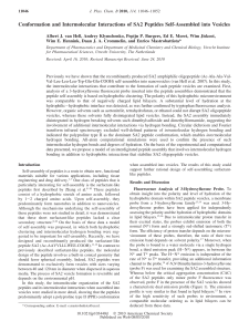 Conformation and Intermolecular Interactions of SA2 Peptides Self