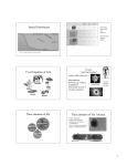 Spatial Distribution Five Kingdoms of Life Three domains of life