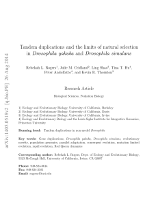 Tandem duplications and the limits of natural