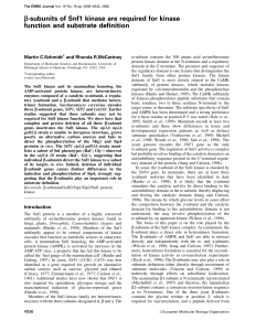 subunits of Snf1 kinase are required for kinase function and