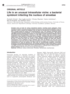 a bacterial symbiont infecting the nucleus of amoebae