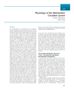 Physiology of the Mammalian Circadian System