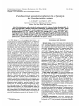 Fusobacterium pseudonecrophorurn Is a Synonym for Fusobacten