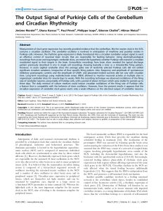 The Output Signal of Purkinje Cells of the Cerebellum and Circadian