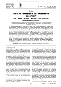 What is comparable in comparative cognition?