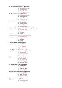 1. The most superficial layer of epidermis is: a) stratum germinativum