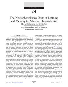 The Neurophysiological Basis of Learning and Memory in Advanced