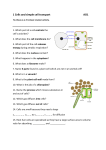 1 Cells and simple cell transport AO1