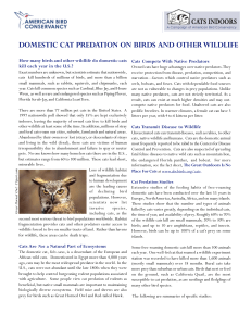 DOMESTIC CAT PREDATION ON BIRDS AND OTHER WILDLIFE