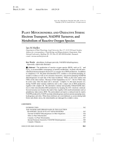 Electron Transport, NADPH Turnover, and Metabolism of Reactive
