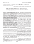 Crystal Structure of Imidazole Glycerol