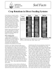 Crop Rotations in Direct Seeding Systems