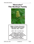 “Aesculus” The Buckeye Family