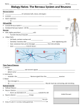 Biology Notes: The Nervous System and Neurons