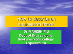 How to describe an angiosperm flower