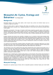 MosquitoLife Cycles, Ecology and