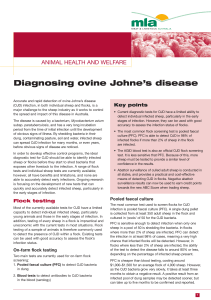 Diagnosing Ovine Johnes Disease