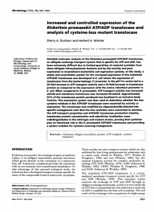 Increased and controlled expression of the Rickettsia