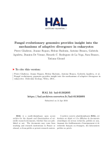 Fungal evolutionary genomics provides insight into the mechanisms