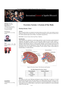 Excretory System: A System of Our Body