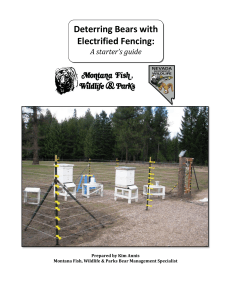 Deterring Bears with Electrified Fencing