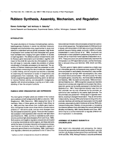Rubisco Synthesis, Assembly, Mechanism, and Regulation