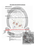 INCLUSIONS AND SECRETORY GRANULES