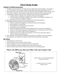 CELLS Study Guide