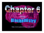 Chapter 6