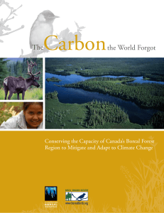 The Carbon the World Forgot - Boreal Songbird Initiative