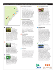 Mid-Atlantic Coastal Forest Eco-Region - Map