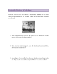 Projectile Motion