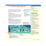17–3 Evolution of Multicellular Life