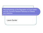 Neurophysiology of the Regulation of Food Intake