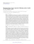 Reprogramming of gene expression following nuclear transfer to the