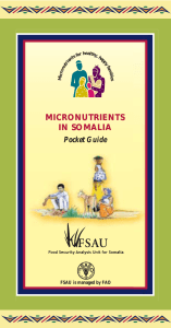 Micronutrients in Somalia - A pocket guide