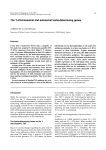 The Y-chromosomal and autosomal testis