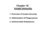 Chapter 16: Innate Immunity