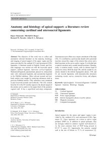 Anatomy and histology of apical support: a literature review