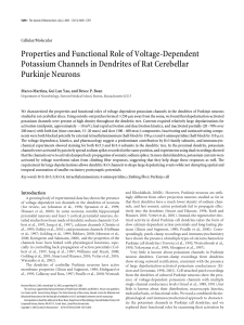 Properties and Functional Role of Voltage