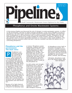 Phosphorus and Onsite Wastewater Systems