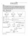 Biological Molecules wHelp Sheet