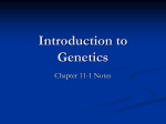 Introduction to Genetics