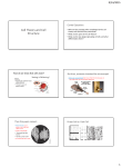 Cell Theory and Cell Structure