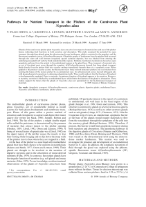 Pathways for nutrient transport in the pitchers of